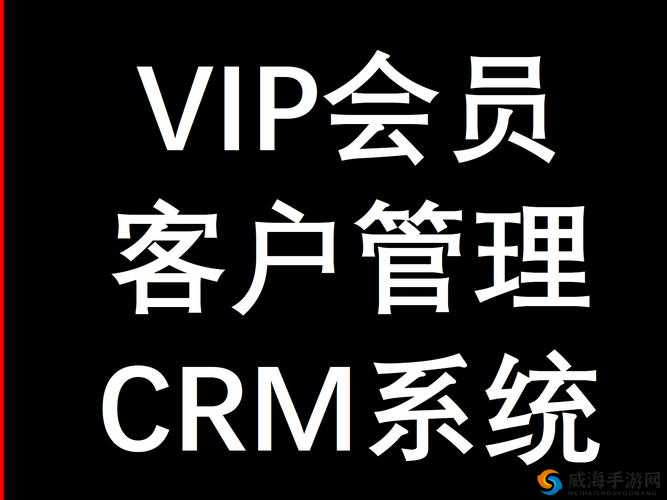 实况俱乐部VIP系统的作用及其管理策略