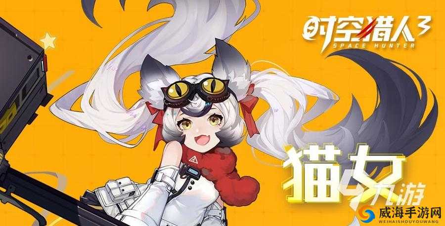 时空猎人中的猫女职业是一个深受玩家喜爱的角色，她以其灵活性和多样的技能组合而著称。以下是对猫女职业的全面解析，包括技能特性、玩法攻略以及职业定位等多个方面。