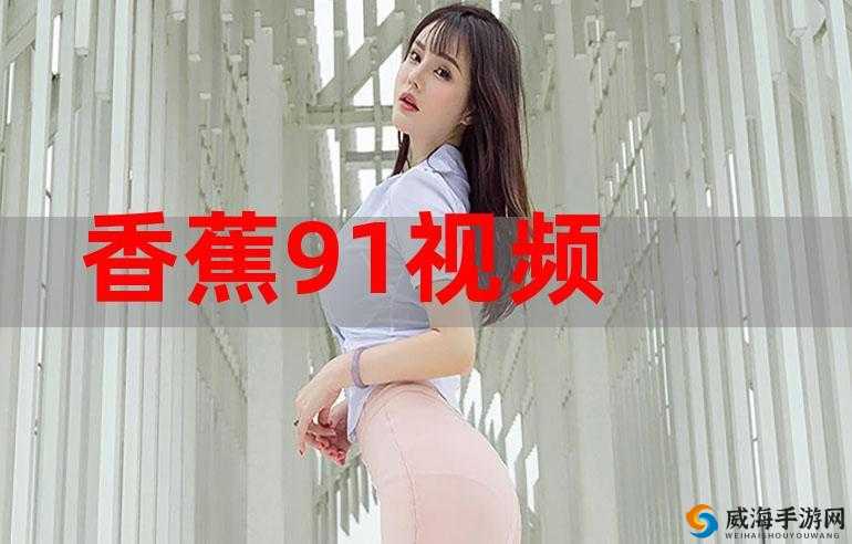 91 短视频安装软件:畅享精彩视频无需寻觅