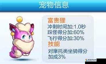 天天酷跑富贵狸，萌宠的得分利器