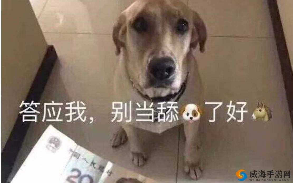 舔舔下面:一种私密行为引发的思考