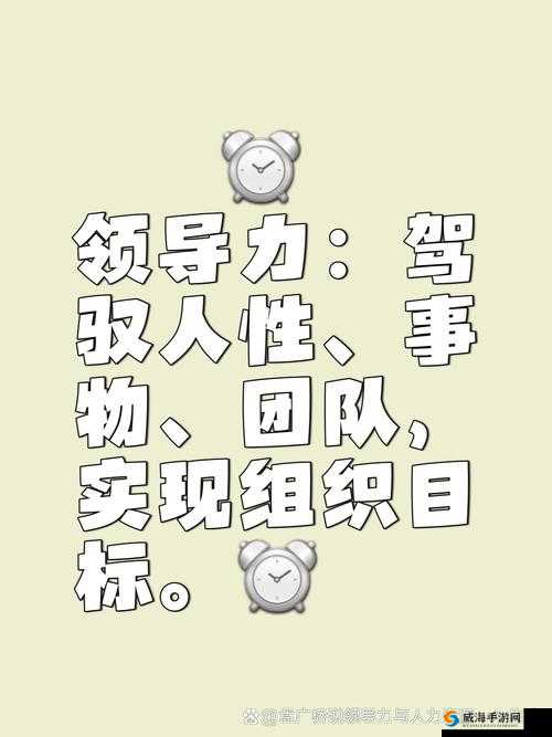 欢乐西游,领导力与团队之旅的深度探索
