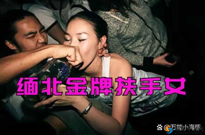 魅狐直播女孩：火车驾驶员的新力量