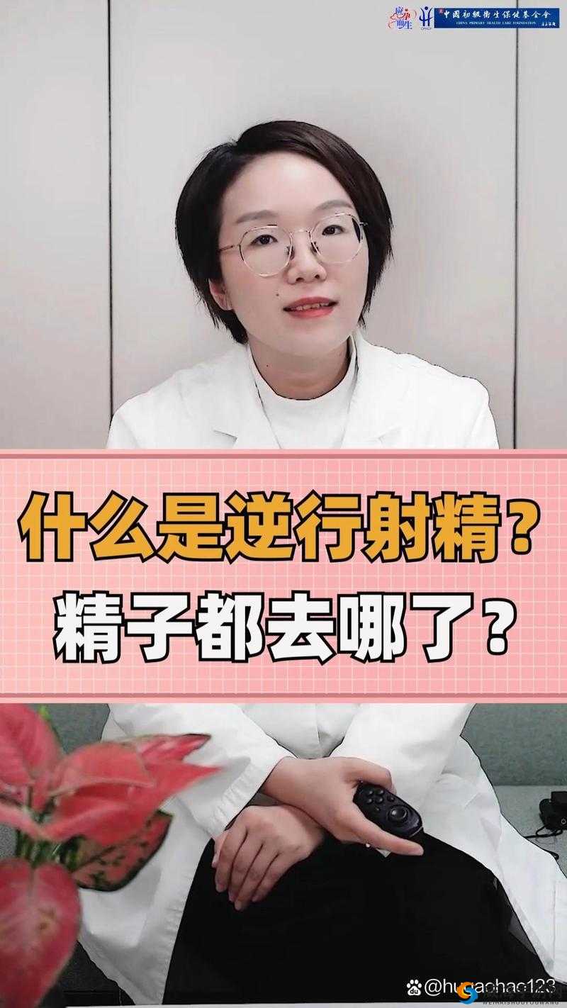 精夜一二三:一场跨越时空的爱情冒险