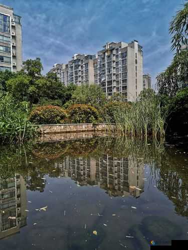 桃花族社区：一个充满活力与温馨的美好家园