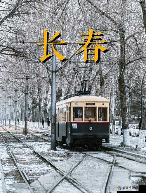 探索XXXX性公交列车的奇妙之旅