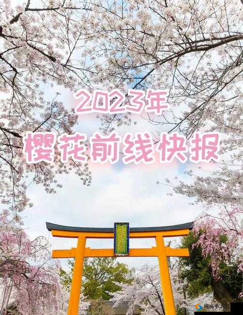 樱花官方正版官网入口 2023：提供最优质的服务与体验
