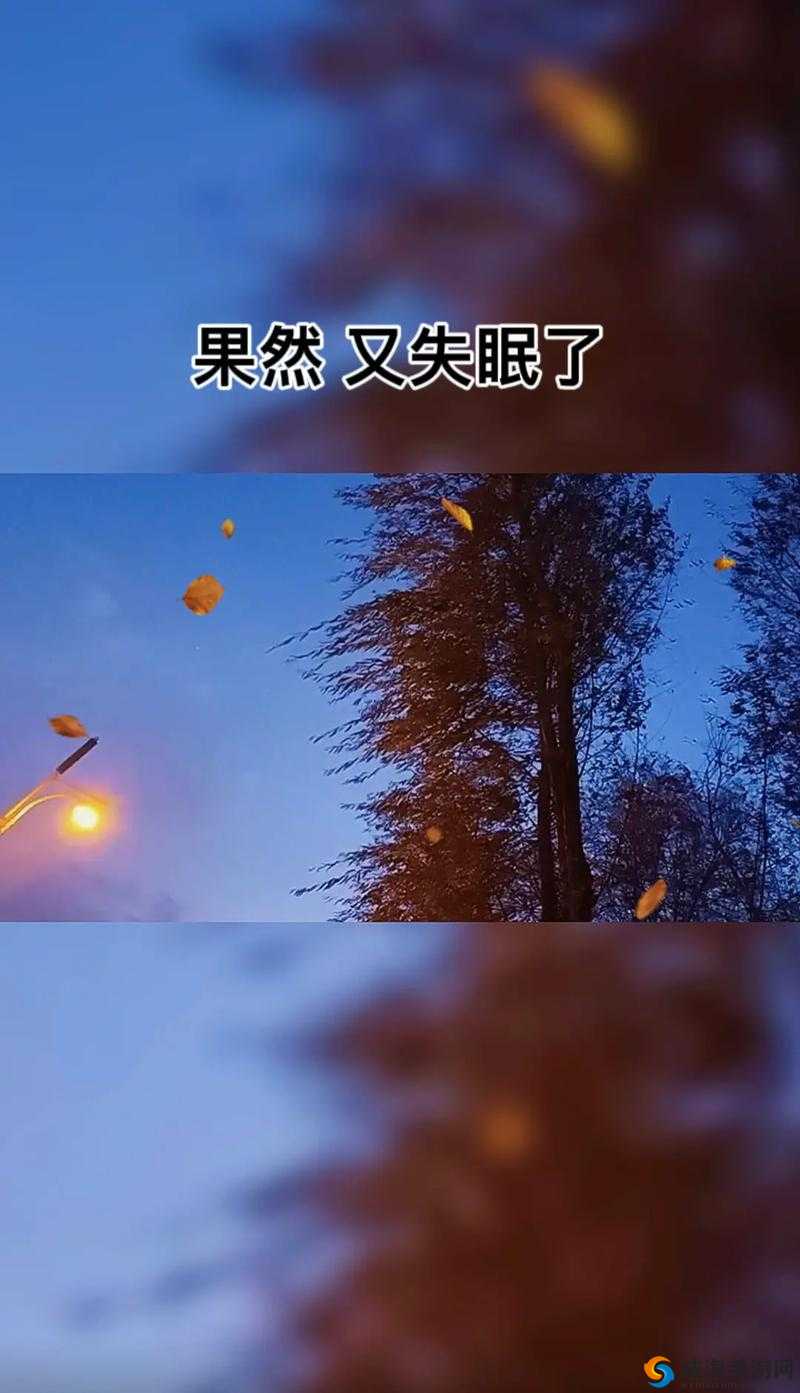 晚上睡不着偷偷看 B 站真的太有意思啦但不要被发现哦