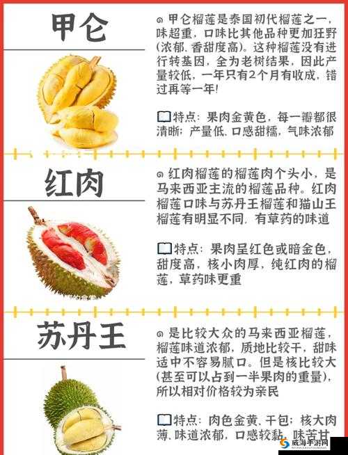 向日葵草莓香蕉榴莲鸭脖大全之美食盛宴大揭秘