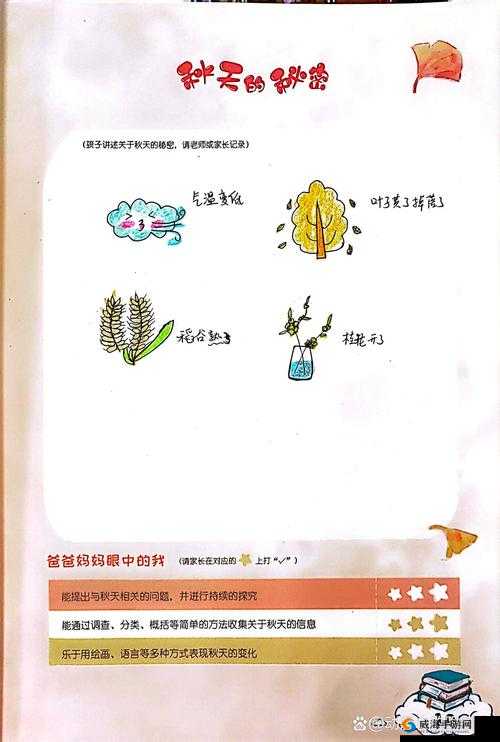 成长的秘密：柔柔观察分析中的别样感悟