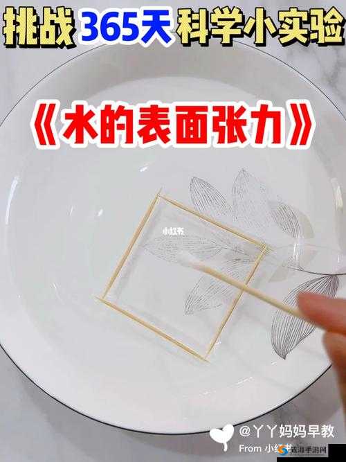 小东西几天不见水一般几天恢复：探究其背后的科学原理