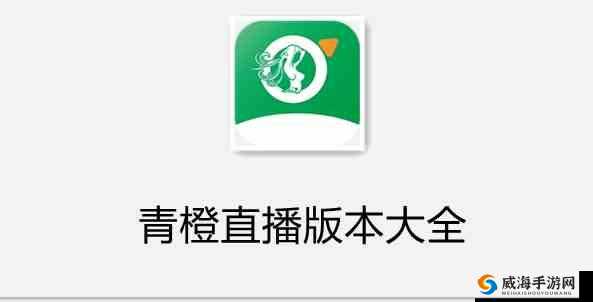 成品人直播 APP 推荐：优质直播平台等你来发现