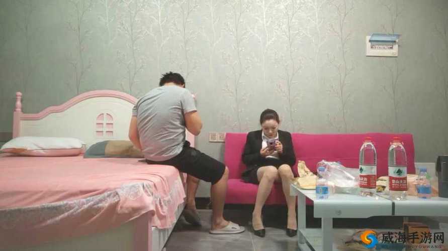 人妻 HDXXXⅩVⅰde0S：独特视角下的精彩演绎