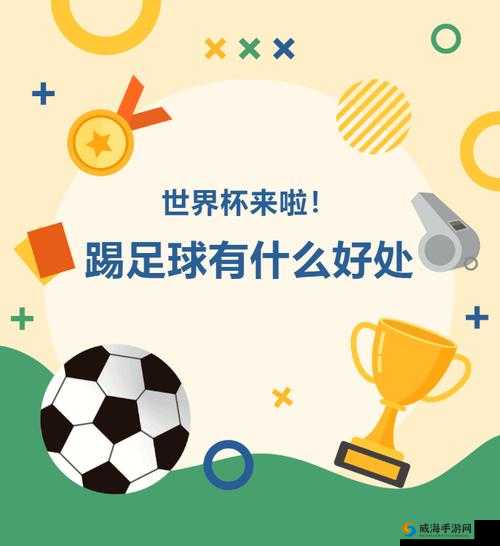 足球，体力与策略的完美融合