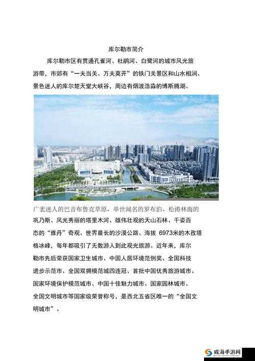 新疆XXXX69:关于其的详细介绍与深入探讨