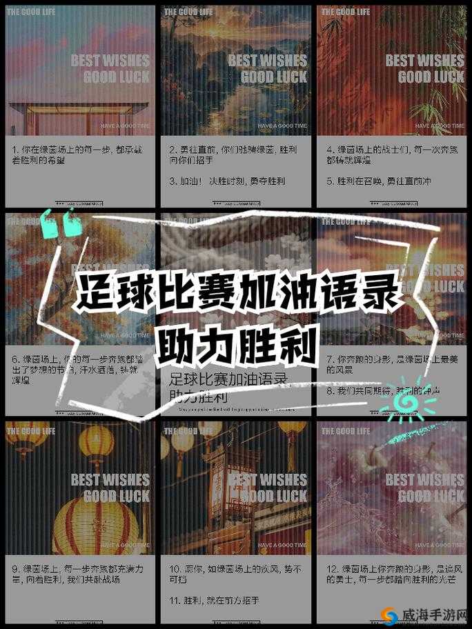 胜利足球,解锁通关秘籍,绿茵场上称雄!