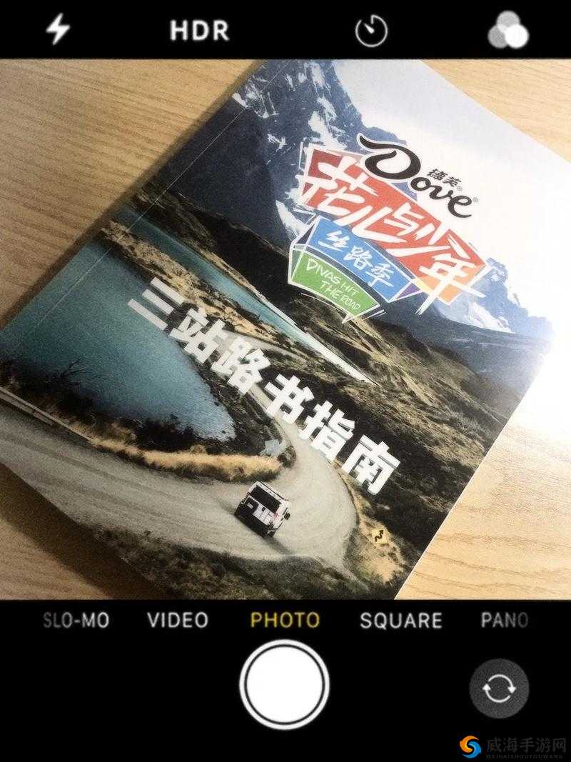 花儿与少年新手入门指南