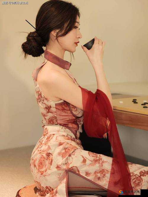中国老女人内谢：揭示传统与现代的冲突与融合