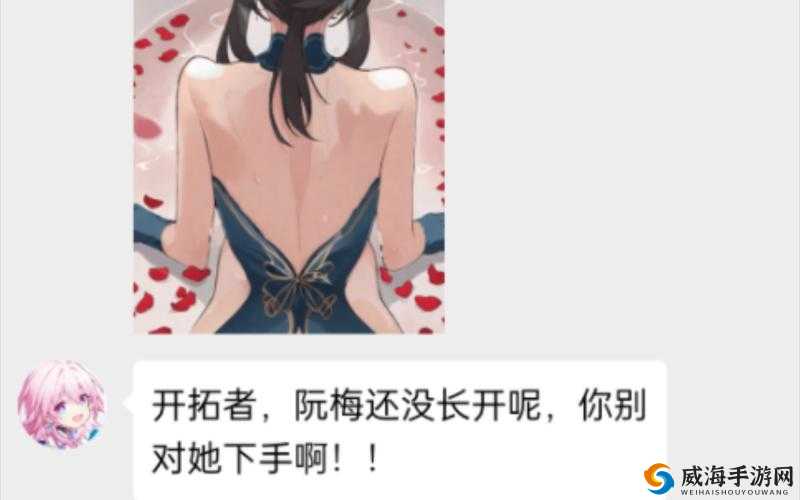 阮梅被开拓者打败了：一段充满波折与意外的对决结果