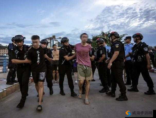 缅北北部血腥 2024 黑网：揭秘网络犯罪的黑暗角落