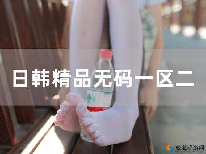 精品国产鲁一鲁一区二区之精彩内容呈现