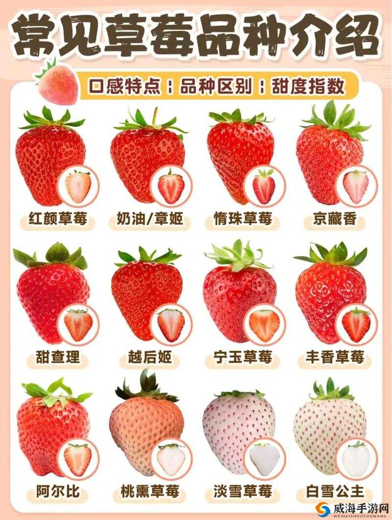 香蕉丝瓜草莓樱桃草莓榴莲知乎：探索水果的奇妙世界