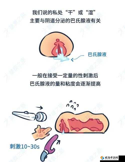 chinese 乱偷高潮 ccm6：探索未知的私密领域