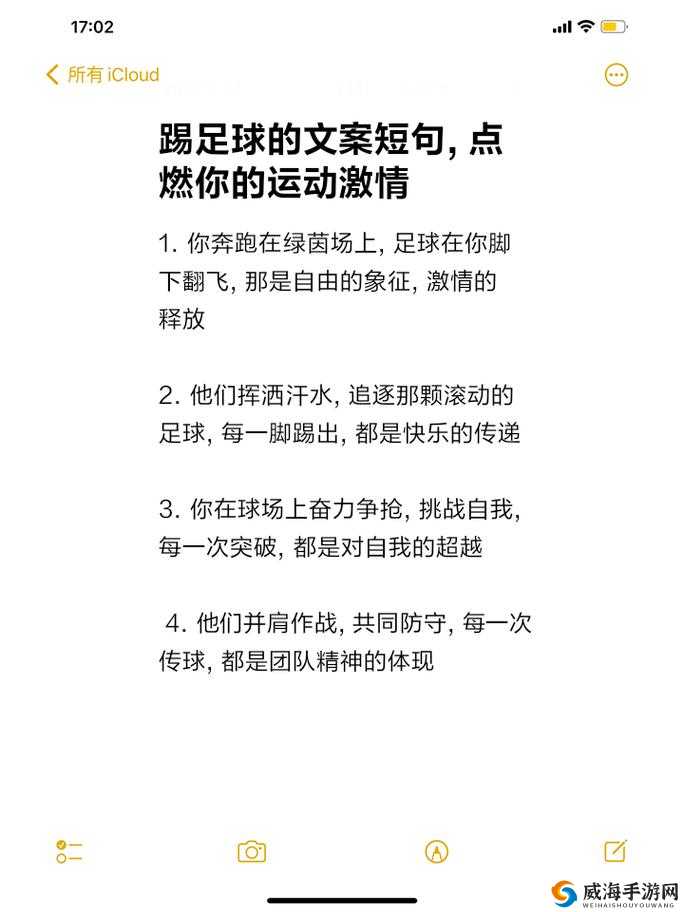 进击的足球，策略与激情的绿茵盛宴