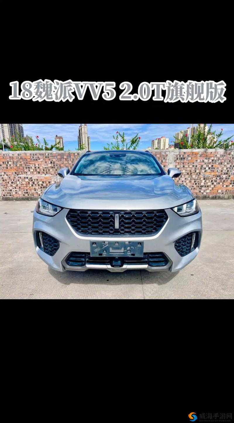 智能豪华 SUV：WeyVV5 国产之光，引领未来出行