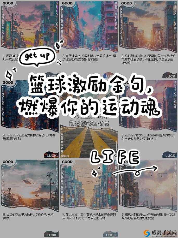 篮球之魂,关键词下的热血与梦想