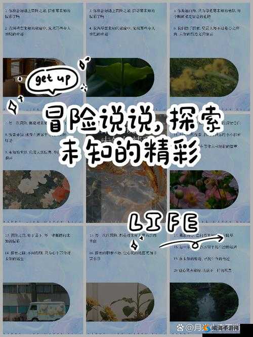 17c20.cm ：带你探索未知的精彩世界之旅