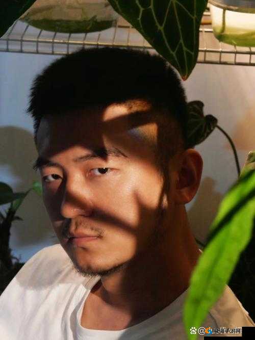 巨茎帅哥 cv 网站：独特视角呈现精彩内容