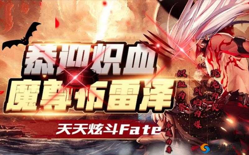 天天炫斗布鲁与布雷泽对比分析在资源管理中的重要性及策略