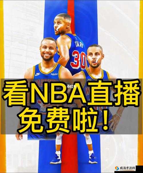 95 免费版网站 nba:畅享体育赛事的免费直播盛宴