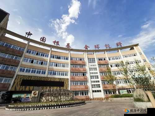 亚洲成年人榜相关内容及精彩呈现