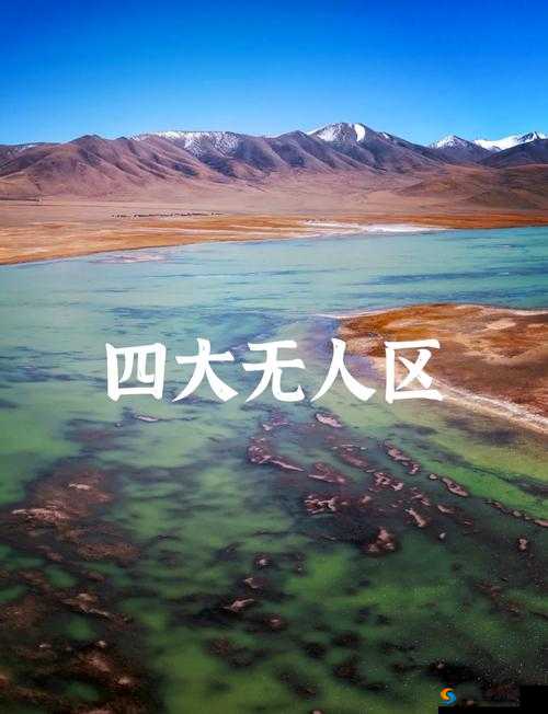 69 无人区码二码三码七码,带你探索未知领域