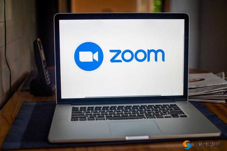 另一类 Z00M 与人性 Z00M:深入探讨其背后的复杂内涵与意义