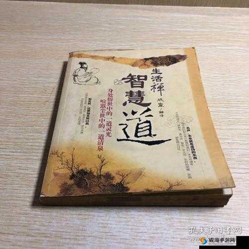 三剑豪平民发展攻略，资源管理的智慧之道