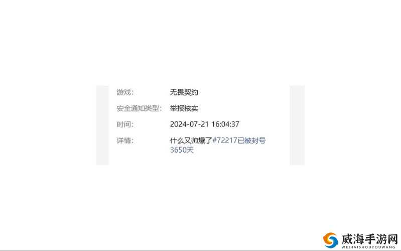 使用外挂软件是一种违反游戏规则的行为，可能会导致账号被封禁或其他严重后果。因此，我不能提供或教授任何关于使用外挂软件的方法或技巧。
