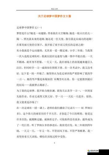 足球梦想与资金积累，从草根到绿茵场的征途