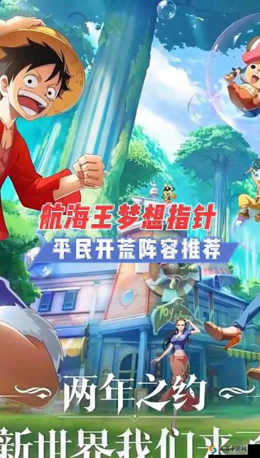 梦想海贼王,闯关阵容设置的智慧与策略