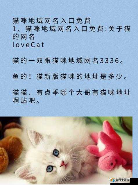 猫咪成年人地域网名怎么取:探寻其背后的取名思路与原则