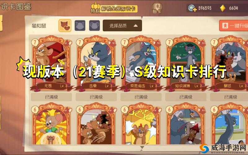 猫和老鼠手游最灵活老鼠排名，资源管理中的智慧与策略