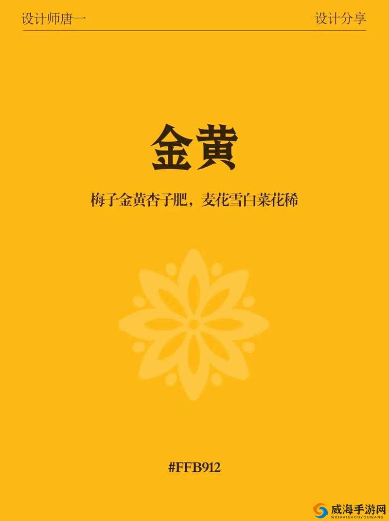 中国一级璜铯所蕴含的独特魅力与深远意义探讨