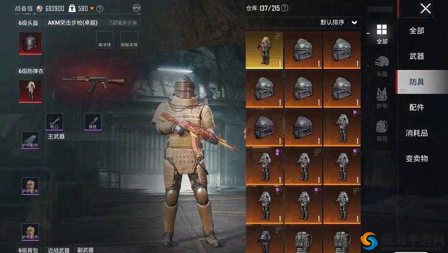 和平精英人气偶像套装快速入手技巧的深度解析