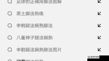 黑土ちゃんが脚法技巧：关于其脚法技巧的深入分析与探讨