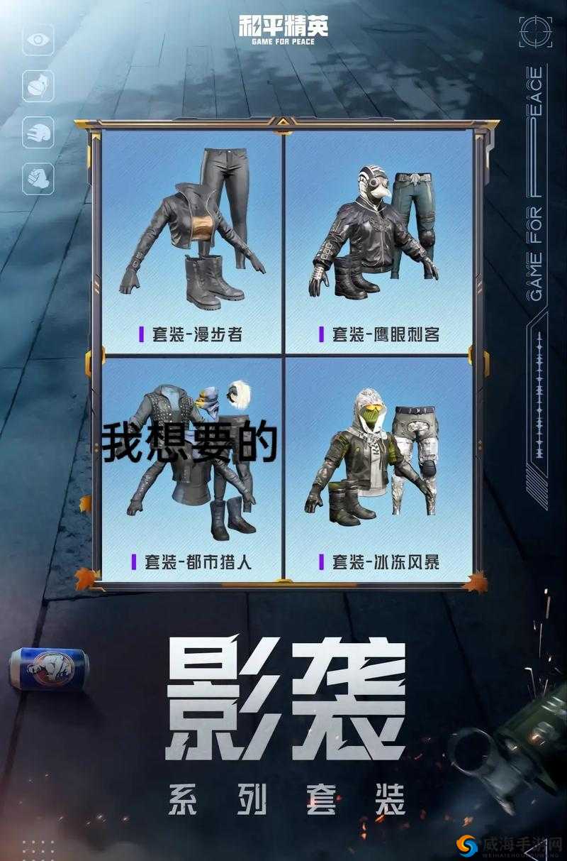 和平精英，98K影袭皮肤深度解析与魅力探索