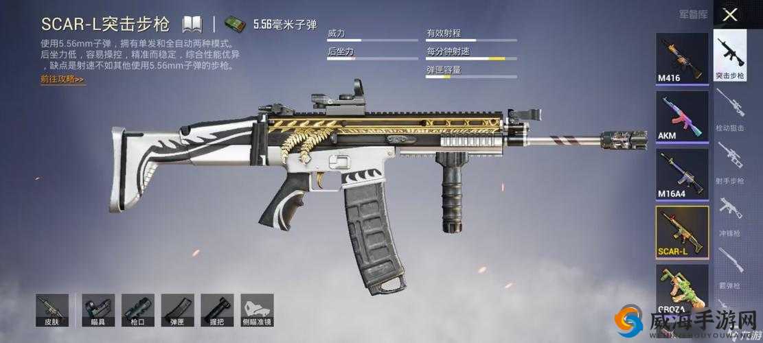 和平精英QBZ和SCAR-L哪把戗好，资源管理、技巧、避免浪费与最大化价值
