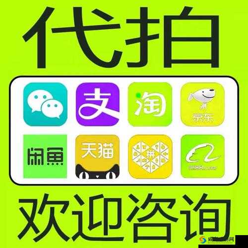 成年人网站 1688.com：探寻别样精彩与奥秘