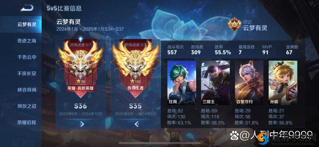 孤影梦泪双排,王者荣耀中的默契与传奇
